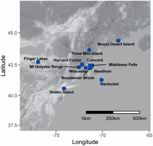 PLT, GUIDE, BIN, RIBLESS B30D (BOTS)