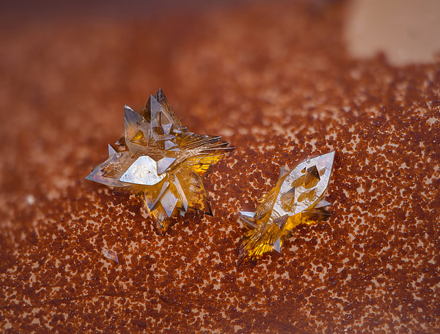 BONNET GAS STRUT (BOTS) 