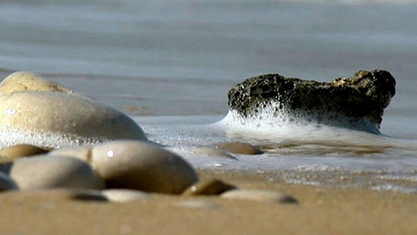 LINKAGE BONNET 40T, ADT D# (BOTS)