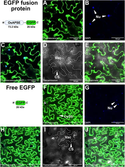 SCREW, HEXHD 8.8 (BOTS)