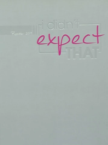 O RING, PLANET PIN F (BOTS)