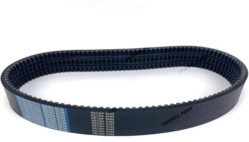 [4632729] BELT 