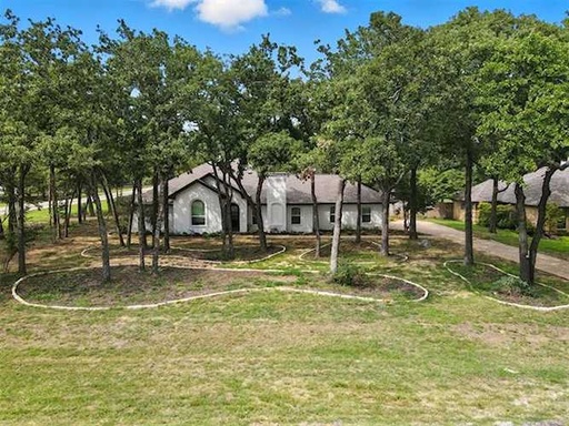 [21055806] CONTINENTAL FAN BELT 