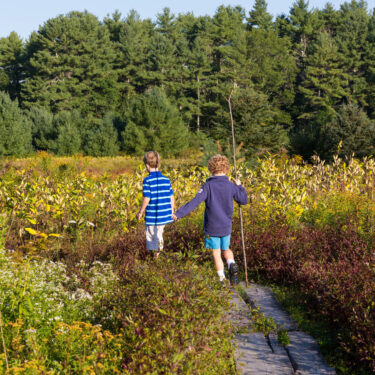 [CAT 2793161 BOTS] CAT CUISHION (BOTS)