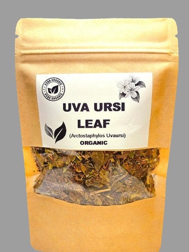 [CAT 1731584 BOTS] CAT SUPPORT (BOTS)