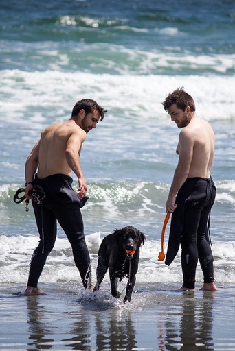 [5800146 BOLT BOTS] BOLT 5800146