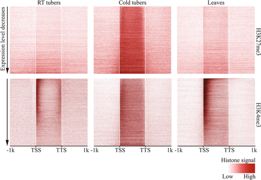 [BELL 271318 BOTS] STEERING COLUMN NG. ADT D-SERIES (BOTS)