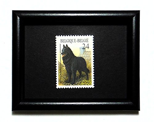 [CAT 29119942] TENSIONER