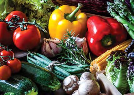 [BELL 226861 BOTS] SPRING KIT (BOTS)