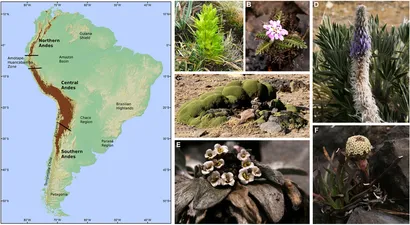 [BELL 207213 BOTS] MTG, RUBBER CONDENSER, HVAC. B40D (BOTS)