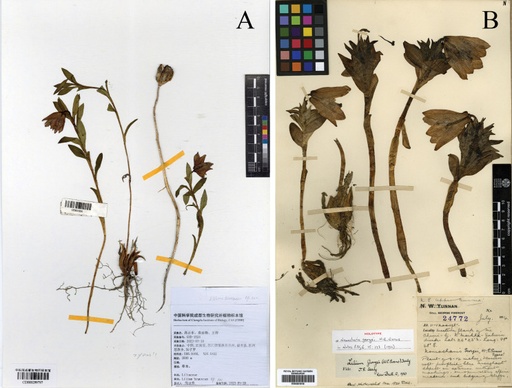 [BELL 207968 BOTS] BELL COVER SPEAKER HOLE (BOTS)