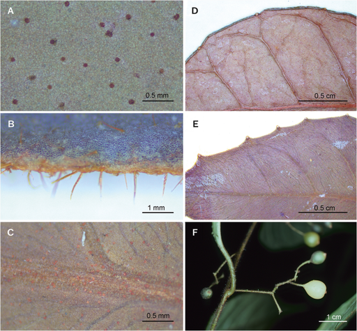 [BELL 187632 BOTS] HOUSING, BONNET CATCH ADT D# (BOTS)