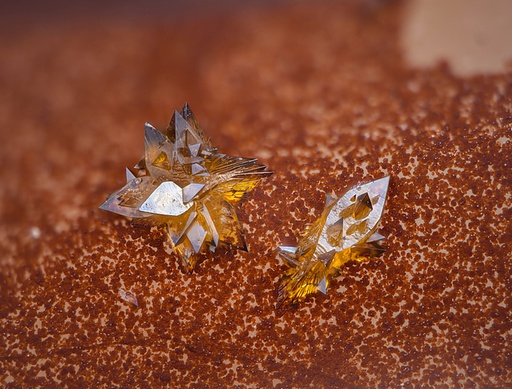 [BELL 191301 BOTS] BONNET GAS STRUT (BOTS) 