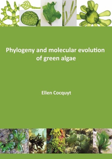 [BELL 221175 BOTS] WASHER, INPUT SHAFT NUT (BOTS)