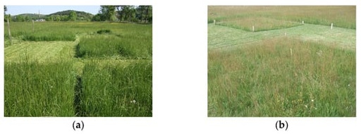 [BELL 224231 BOTS] BELL O-RING 135X2.5 (BOTS)