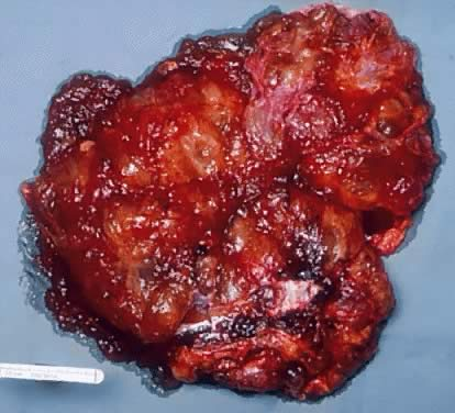 [BELL 162185 BOTS] SHIM 1.6MM BIN SHOCK MAT B50 (BOTS)